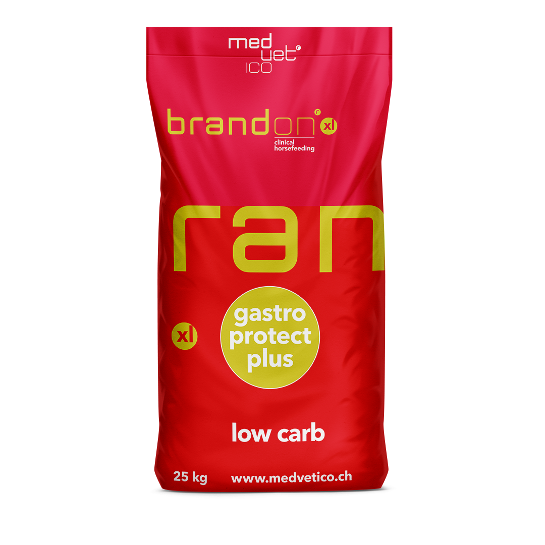 St.Hippolyt Brandon xL Getreidefrei