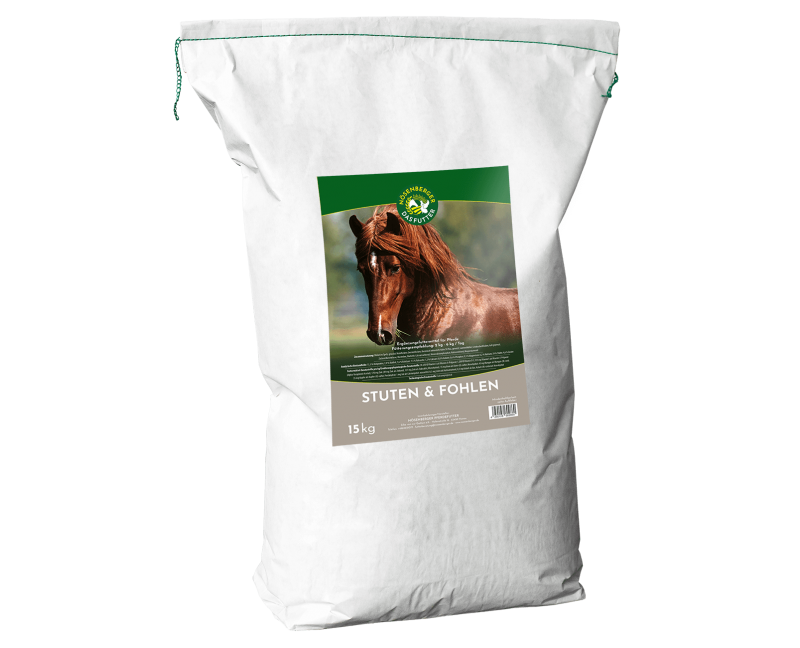 Nösenberger Stuten & Fohlen