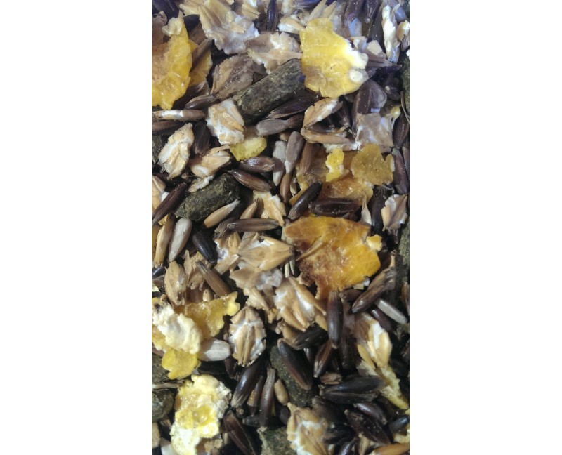 LEXA Vitalmix Energy Plus