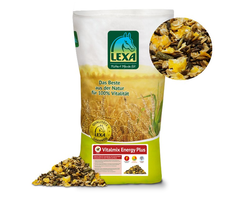 LEXA Vitalmix Energy Plus