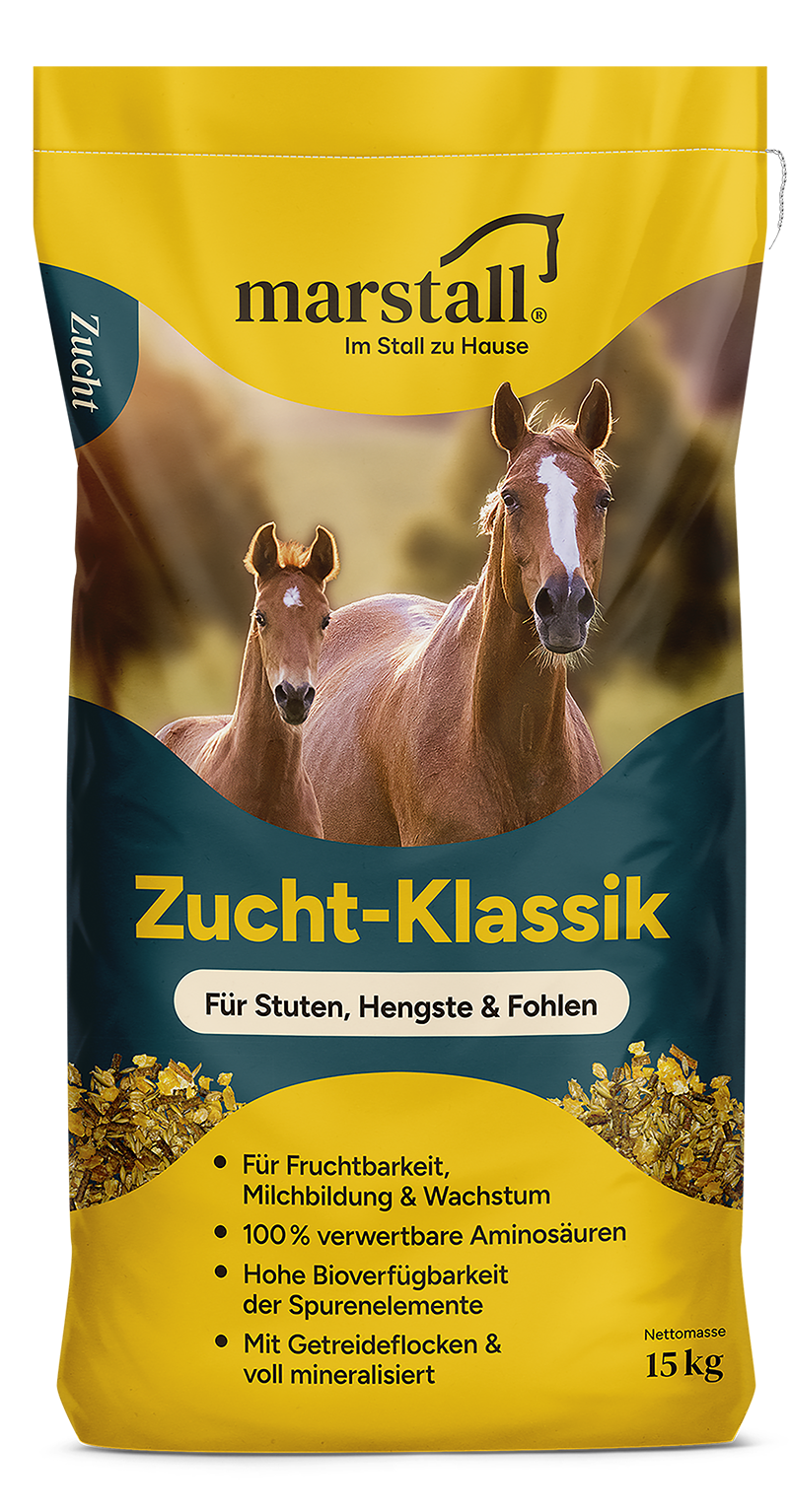 Marstall Zucht-Klassik