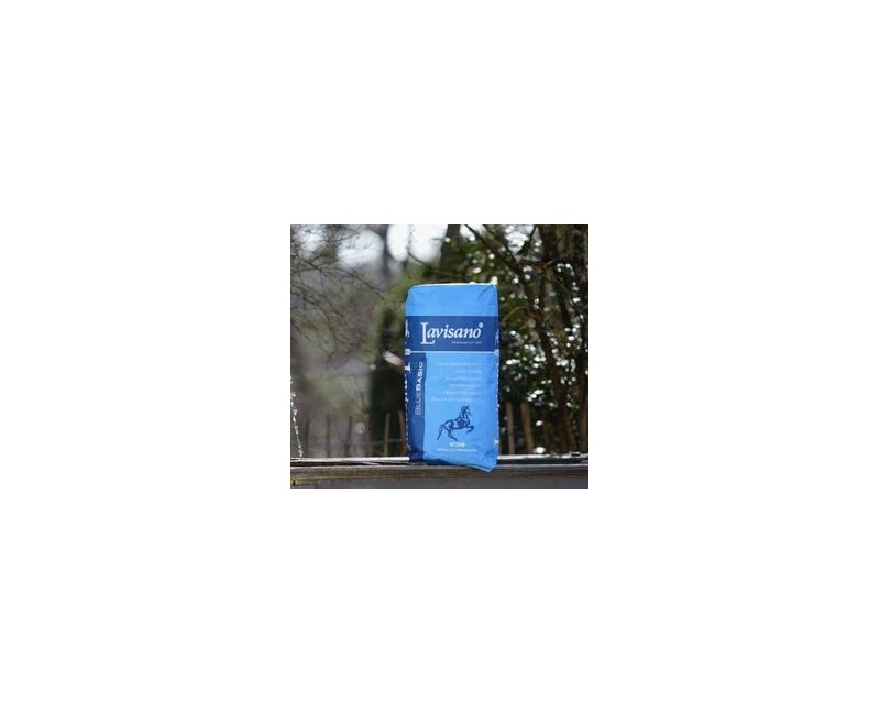 LAVISANO BlueBasic