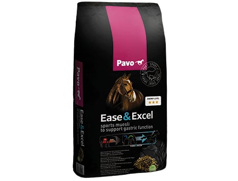 Pavo Ease & Excel