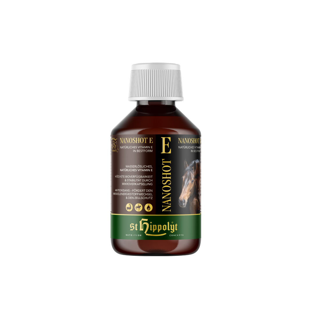 St. Hippolyt WES NanoShot E