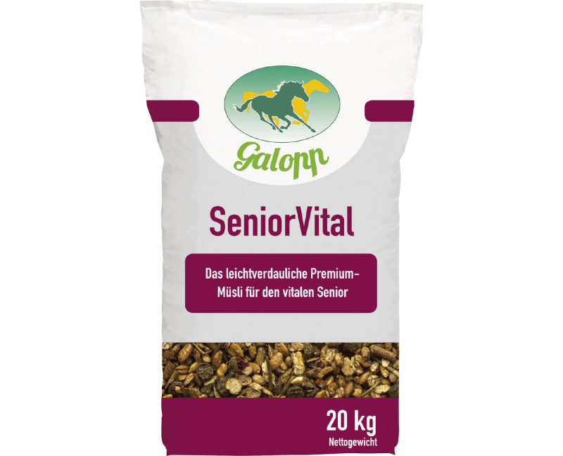 Galopp SeniorVital