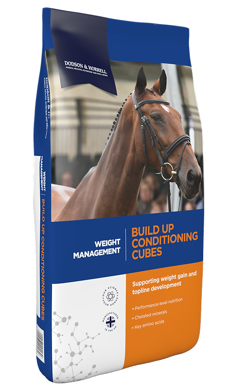 Dodson & Horrell Build Up Conditioning Cubes