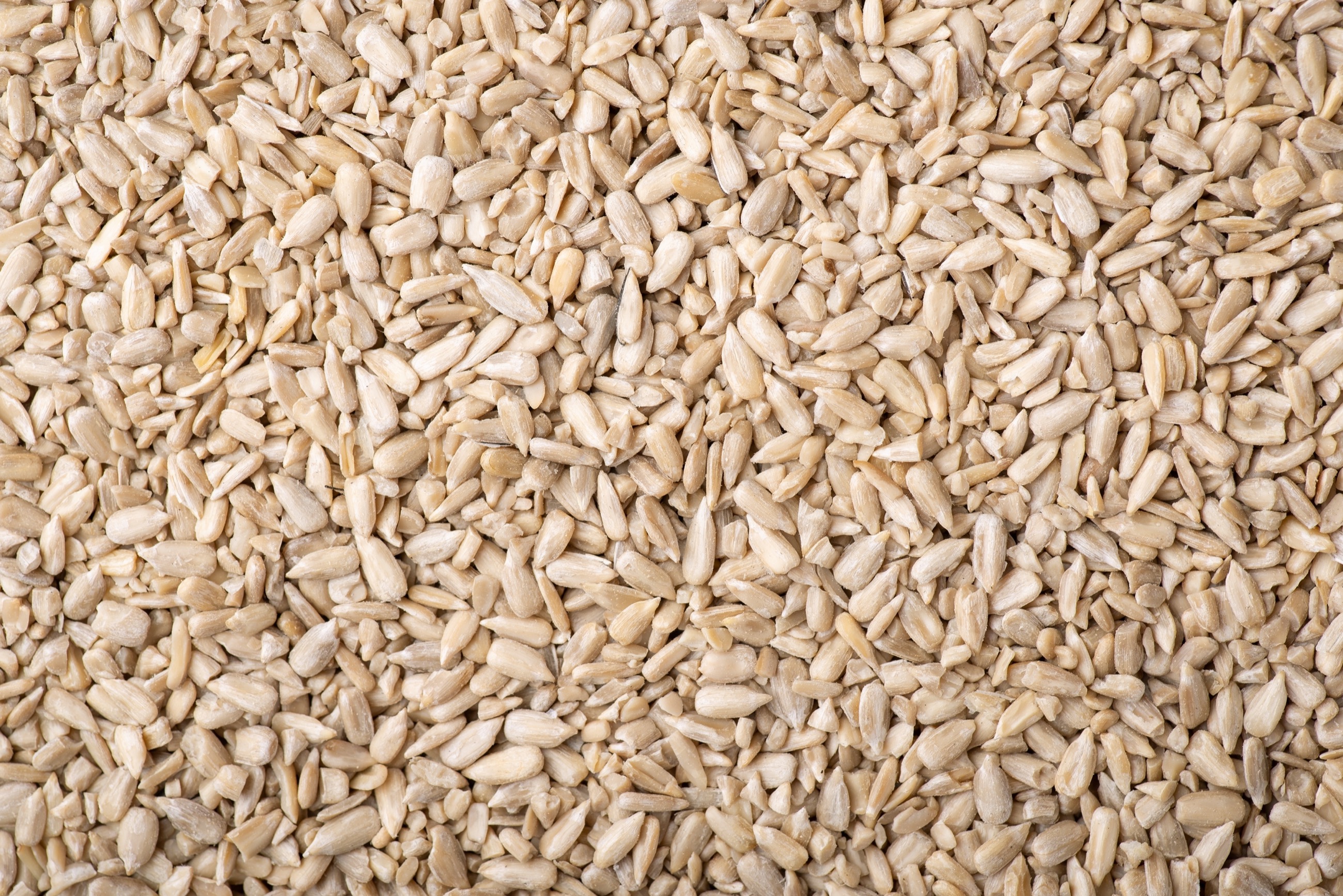 Sonnenblumenkerne, geschält