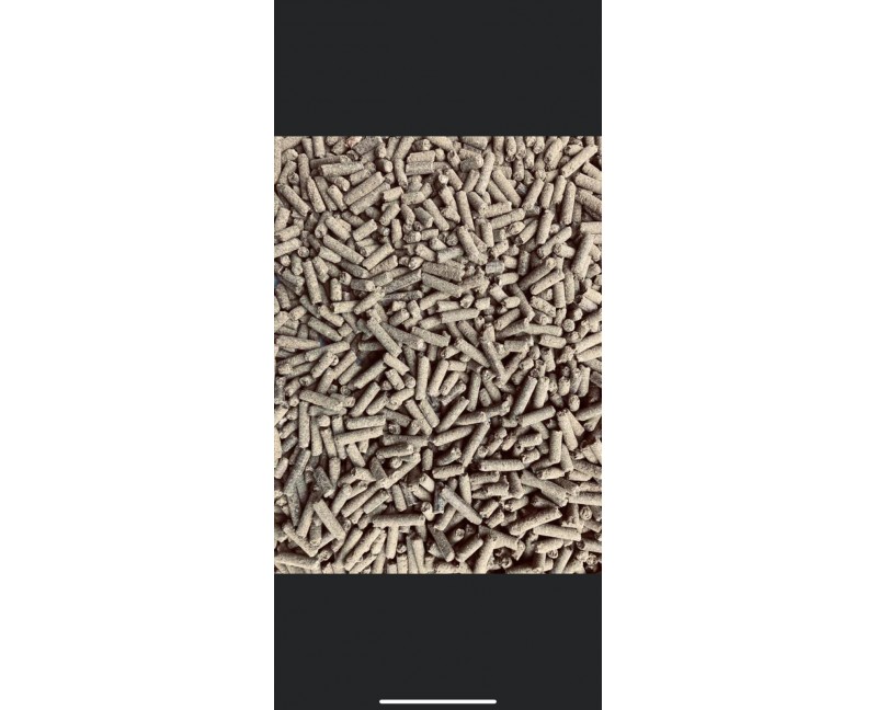 St. Hippolyt WES Bodyguard