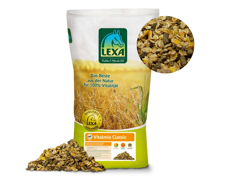 LEXA Vitalmix Classic
