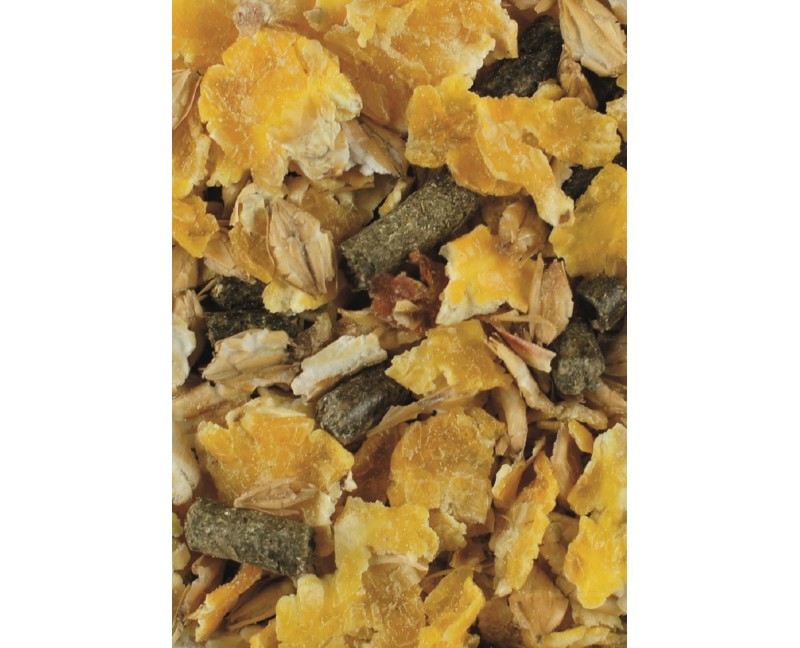 LEXA Vitalmix Sport