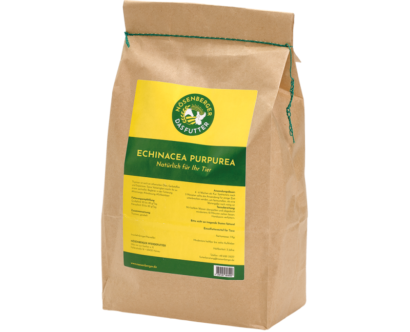 Nösenberger Echinacea purpurea