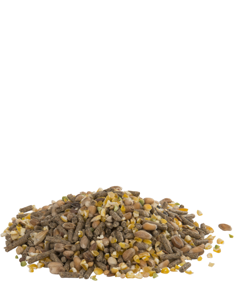 CountrysBest Gold 4 mix