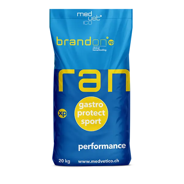 St. Hippolyt Brandon XP