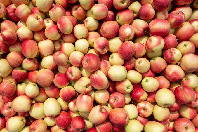 Äpfel 10 kg