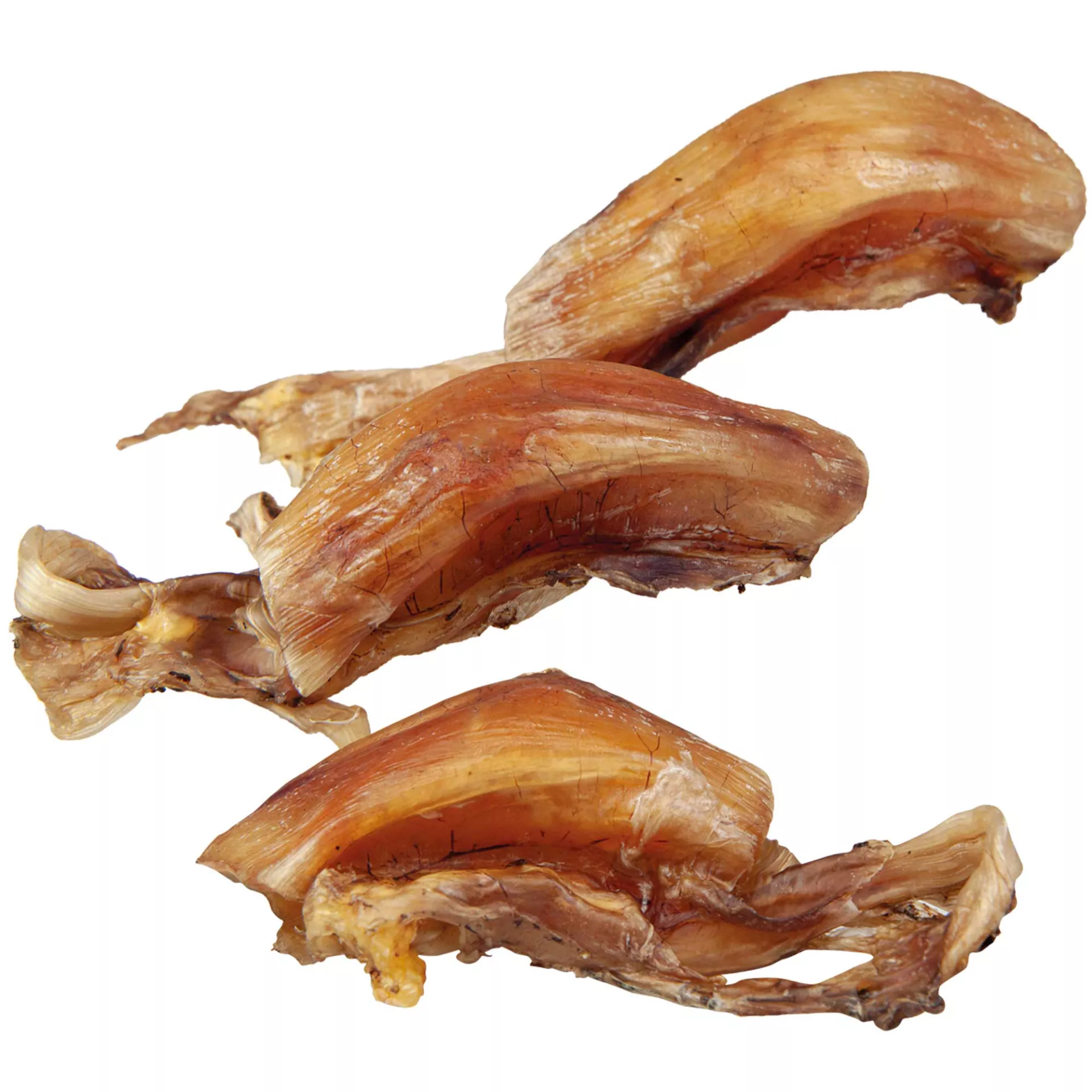 Dicke Straußensehnen ( Kniesehnen )