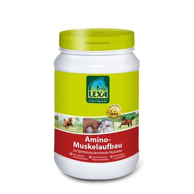 Lexa Amino Muskelaufbau