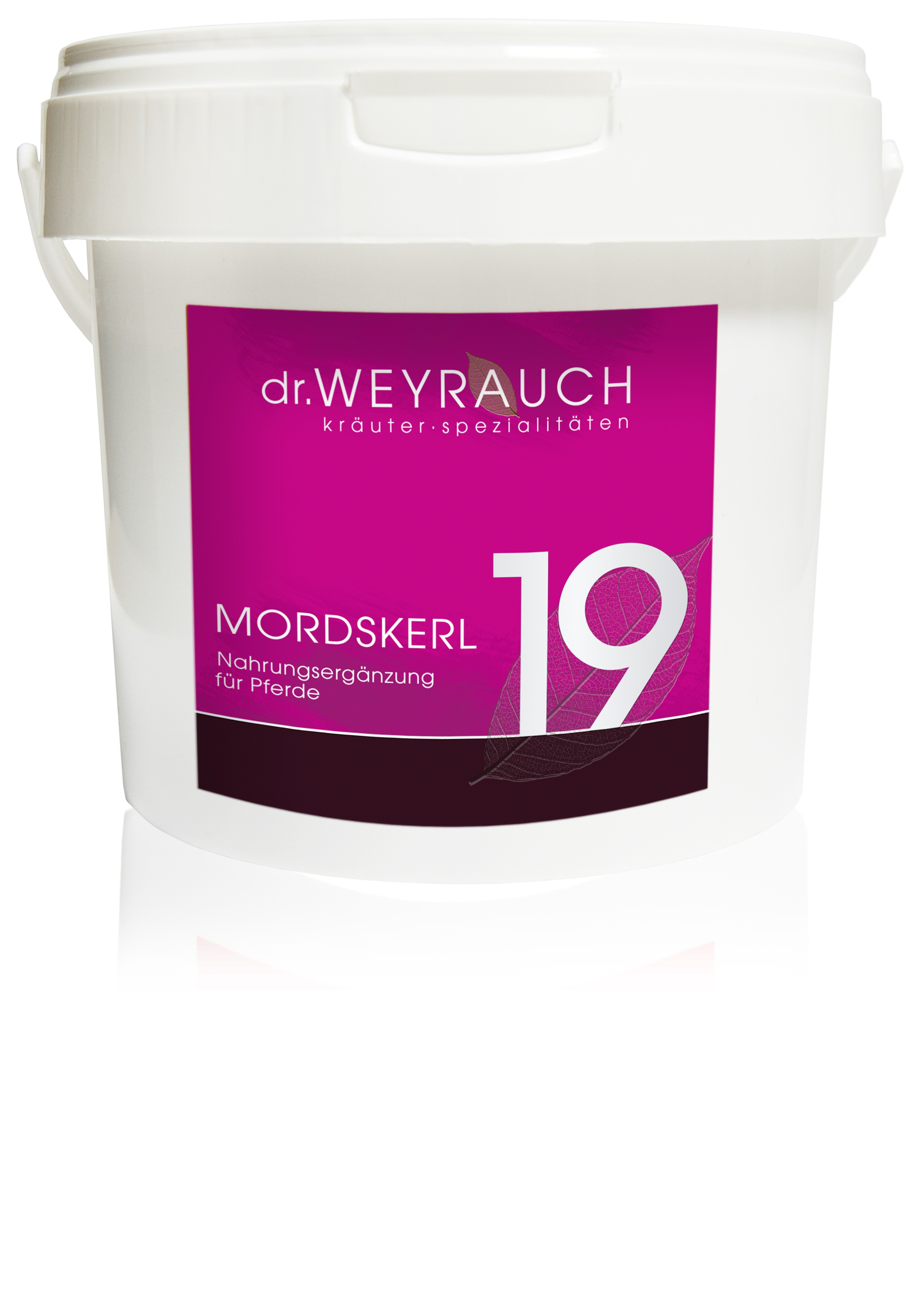 Dr. Weyrauch Nr. 19 Mordskerl – Pferd