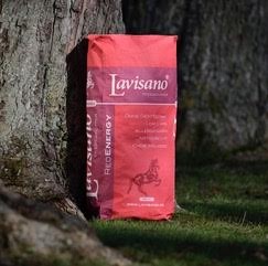 Lavisano Red Energy
