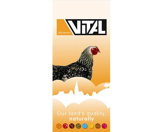 Fasan und Wachtel Lege Futter