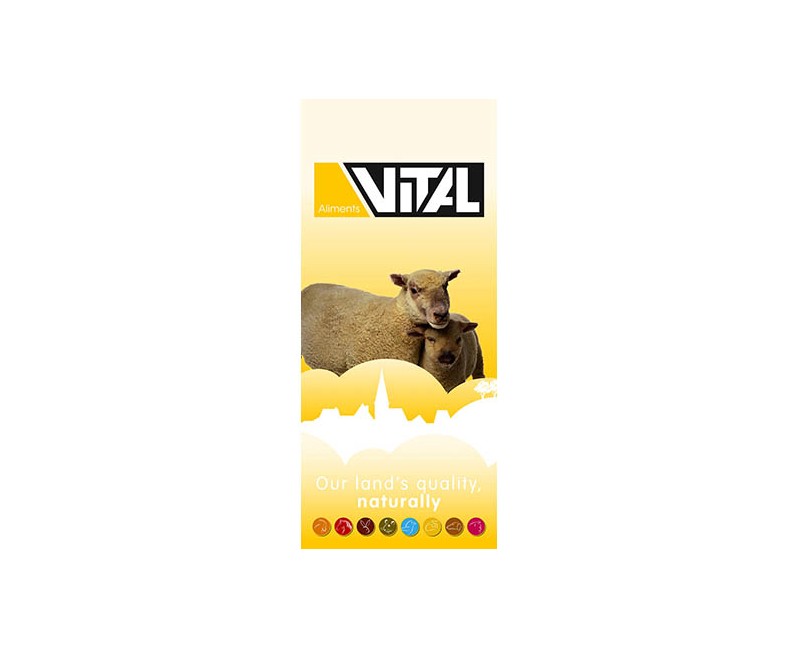 Scar Vital Ziege & Hirschartige